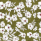 Tissu Crêpe Fleur Kaki 