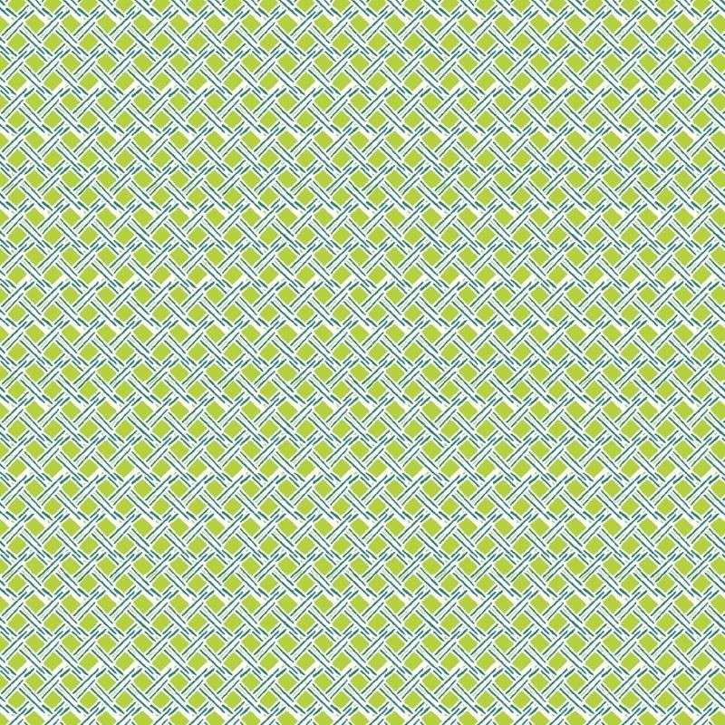 Tissu Fujian Imprimé Vert 