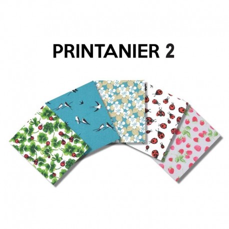 Un Lot de 5 Coupons de Tissu Printanier Multico 45x55 cm