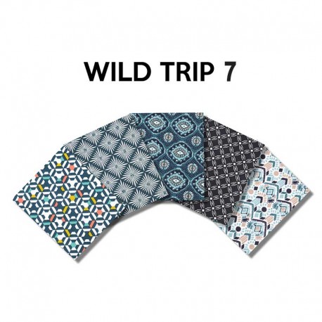 Un Lot de 5 Coupons de Tissu Wild Trip Multico 