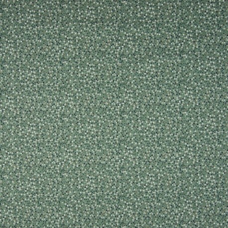 Tissu Jersey Coton Imprimé Pois Fond Menthe 