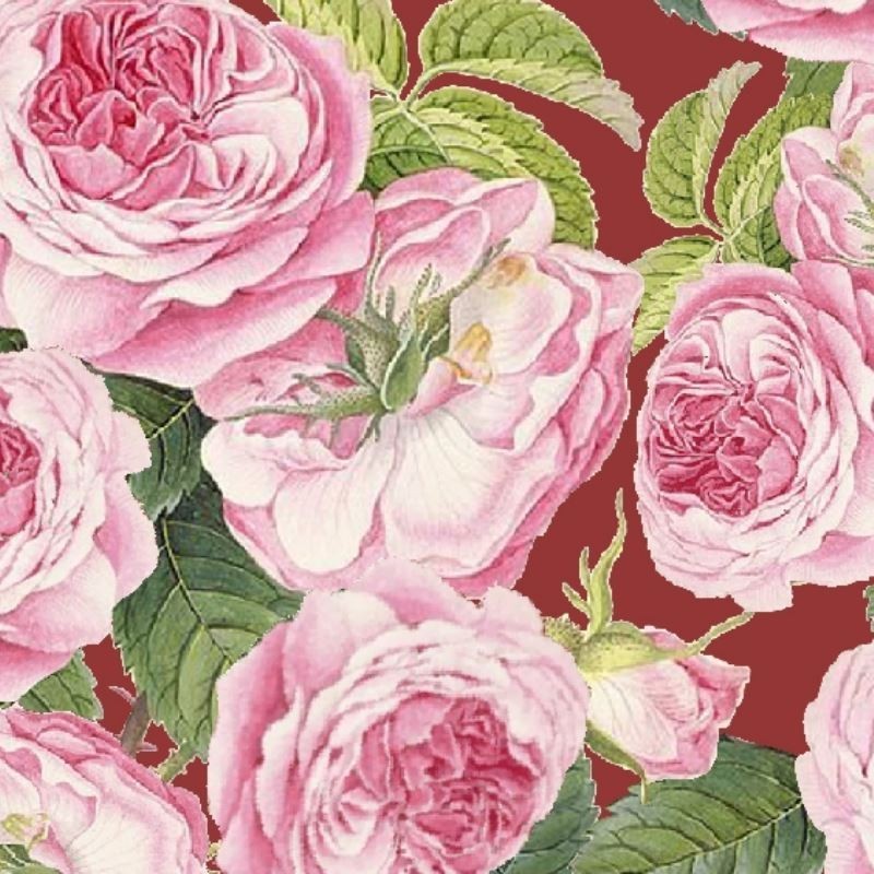 Tissu Clarence Digital Rose 