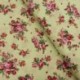 Tissu Popeline Rose Fond vert