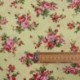 Tissu Popeline Rose Fond vert