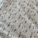 Parure Housse de Couette Bio Dove