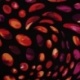 Tissu Jersey Viscose Imprimé Fuchsia