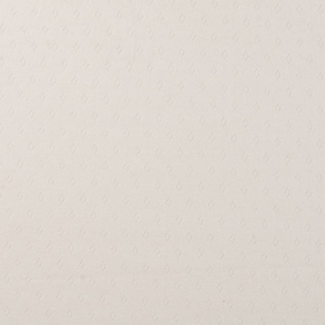 Tissu Jersey Ajouré Blanc