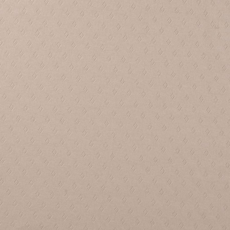Tissu Jersey Ajouré Sable