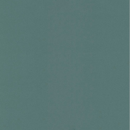 Tissu Obscurcissant Uni Grande Largeur Blaze
