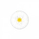 Edleweiss - Blanc