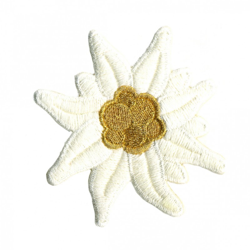 Medium edelweiss - Doré