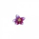 Fleurs des montagnes - Fleur violette
