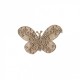 Papillon dentelle - Beige