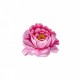 Fleurs 5x5cm - Rose