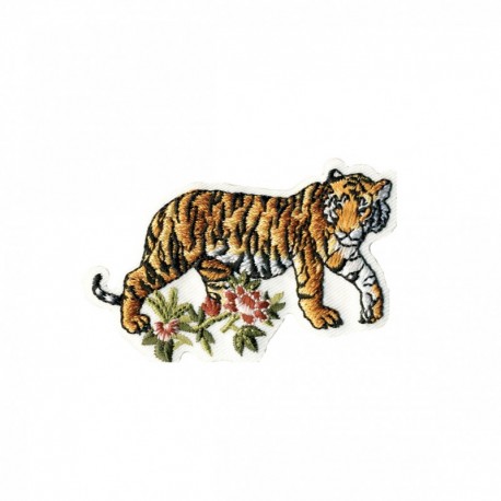 Tigres - Assis 3,5x6