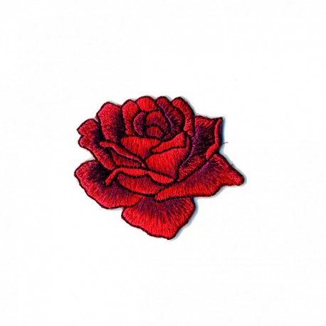Rose 4x4,5 - Rouge