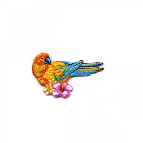 Oiseaux tropicaux - Perroquet 5x3