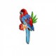 Oiseaux tropicaux - Perr.rouge 6x2