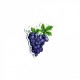 Fruits brodes - Raisin 4x3cm