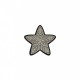 Ecussons etoile - Argent