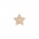 Ecusson etoile brodee - Rose/beige