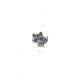 Animaux forets mignons - Raton laveur