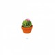 Cactus - Pot fille 5x4