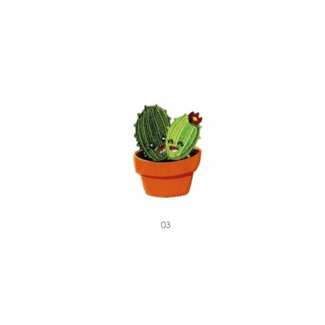 Cactus - Pot mere/f 5x4
