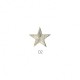 Ecusson etoile or/argt - Argent