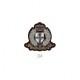 Gm badge lv - Marron