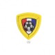 Fanion football - France