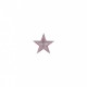 Ecusson etoile brillant - Rose