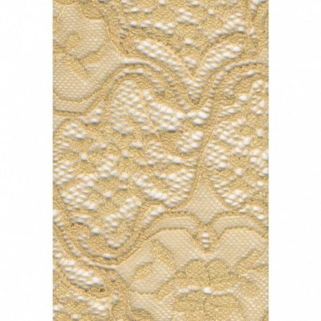 Dentelle elastique 220mm
