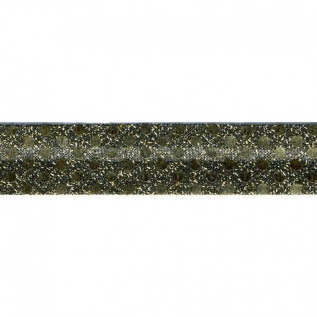Br paillettes 20/10/10