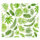 Tissu Cretonne Mini Feuilles Vert