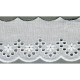 Broderie anglaise 55mm  Blanc - 