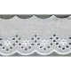 Broderie anglaise 55mm  Blanc - 