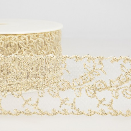 Broderie/tulle irisé