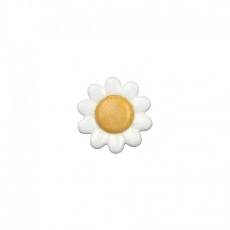 Bouton marguerite