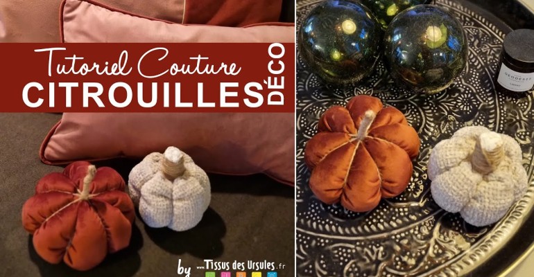 Citrouilles Déco 