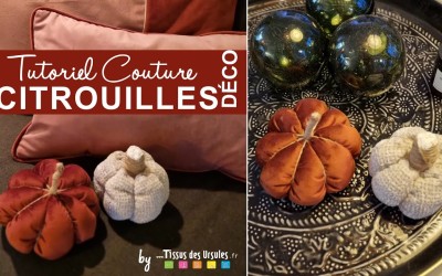 Citrouilles Déco 